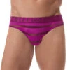 Gregg Homme Encore Brief 160603 -Wacoall Underwear Shop 160603 MAGENTA far front 1