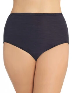 Vanity Fair Illumination Brief 13109 -Wacoall Underwear Shop 204879
