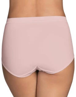 Vanity Fair Beyond Comfort Silky Stretch Brief 13290 -Wacoall Underwear Shop 23 132975 13290 SheerQuartz 1342 crop 3x4 a5ce285e 68ec 4472 ad38 7a6d40367f51