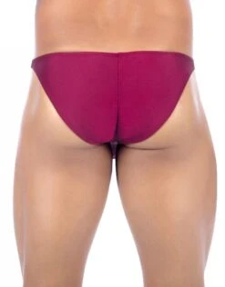 Joe Snyder Men's MaxiBulge Bikini JSMBUL01 13 Joe Snyder Men's MaxiBulge Bikini JSMBUL01 -Wacoall Underwear Shop 385487 c2cfb384 6dfa 4491 8eca 864d08e2350c