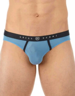 Gregg Homme Torridz Brief 87423 -Wacoall Underwear Shop 421054