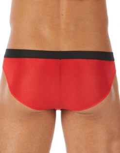 Gregg Homme Torridz Brief 87423 -Wacoall Underwear Shop 421099