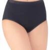 Vanity Fair Comfort Where It Counts Brief Panty 13163 -Wacoall Underwear Shop 439027