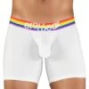 ErgoWear Max XV Pride Trunk EW1117 -Wacoall Underwear Shop EW1117 1