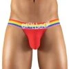 ErgoWear Max XV Pride Thong EW1119 -Wacoall Underwear Shop EW1119 1