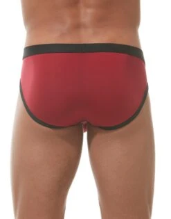 Gregg Homme Room-Max Brief 152703 -Wacoall Underwear Shop Gregg Homme 152703 Red B 2 6cbc2690 70d6 4109 b713 bafe1f65e558