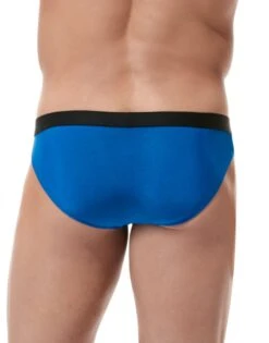 Gregg Homme Torridz Brief 87423 -Wacoall Underwear Shop Gregg Homme 87423 Royal Blue B 2 bf2bcbbc 32e9 4b75 ba57 c2eff314f5dc