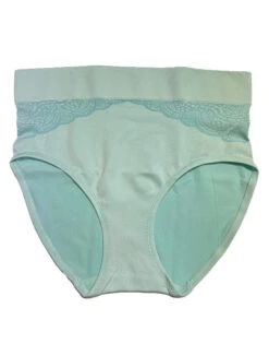 Warner's Cloud 9 Seamless Lace Brief RS3241P