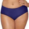 Playtex Incredibly Smooth Cheeky Hipster PSCHHL -Wacoall Underwear Shop Playtex PSCHHL Violet Stone B