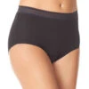 Warner's Breathe Freely Brief Panty With Lace RS4901P -Wacoall Underwear Shop WA RS4901P UB