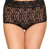 Wacoal Halo Lace Brief 870405 -Wacoall Underwear Shop Wacoal 870405 Black B 1